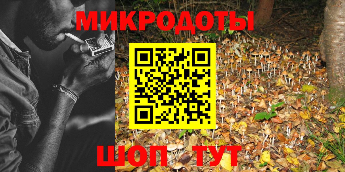 купить закладку  Вход с VPN  Тавда  Псилоцибиновые грибы мухоморы 